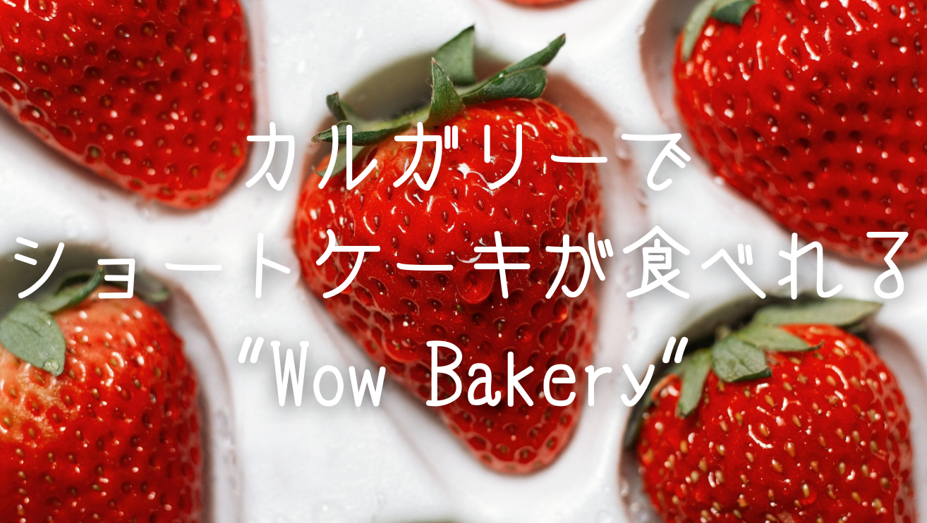 Wow Bakery Thumbnail